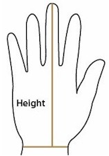 See how to measure for gloves